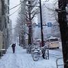 冬場歩道.JPG